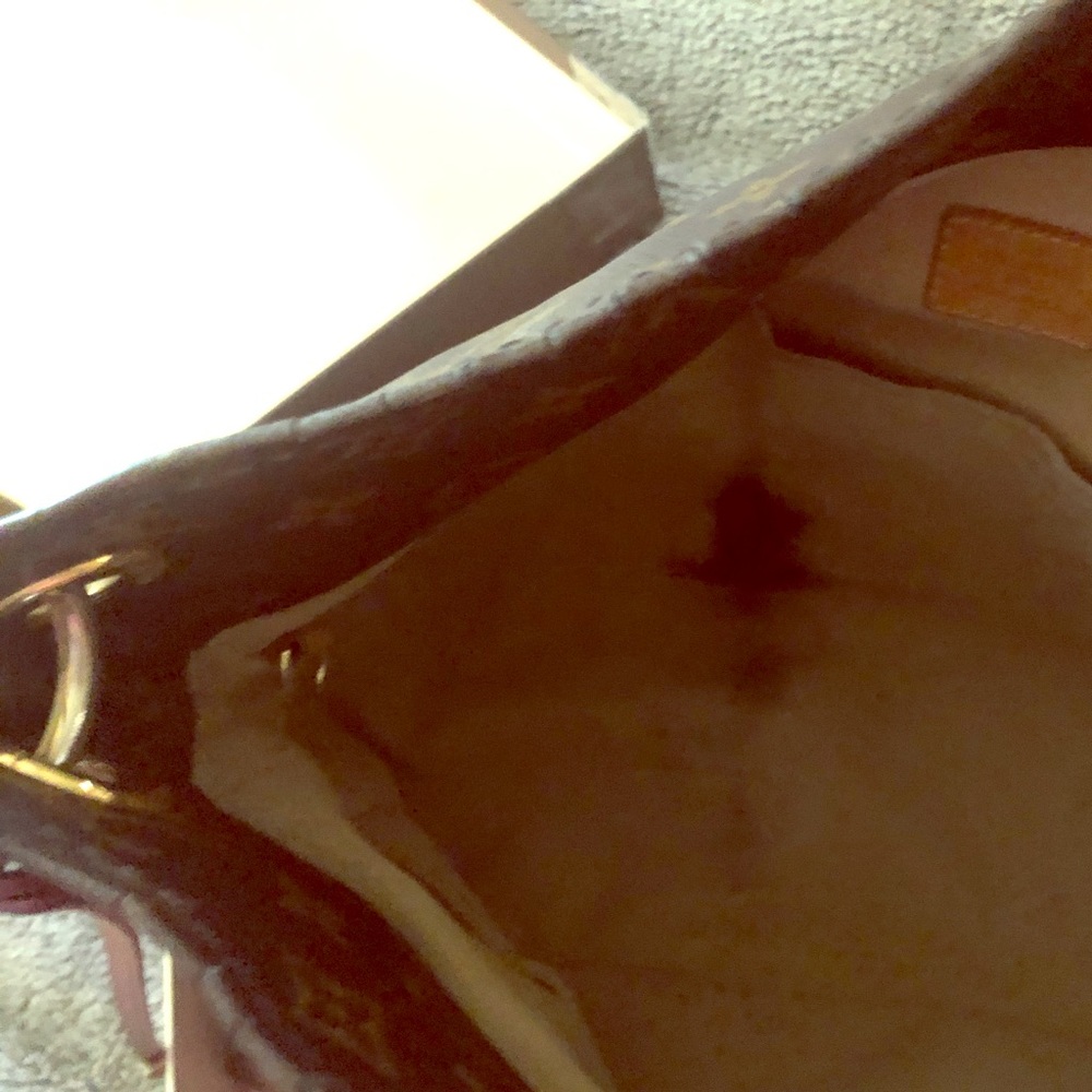 Louis Vuitton’s handbag
